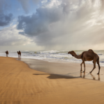 excursions Marrakech