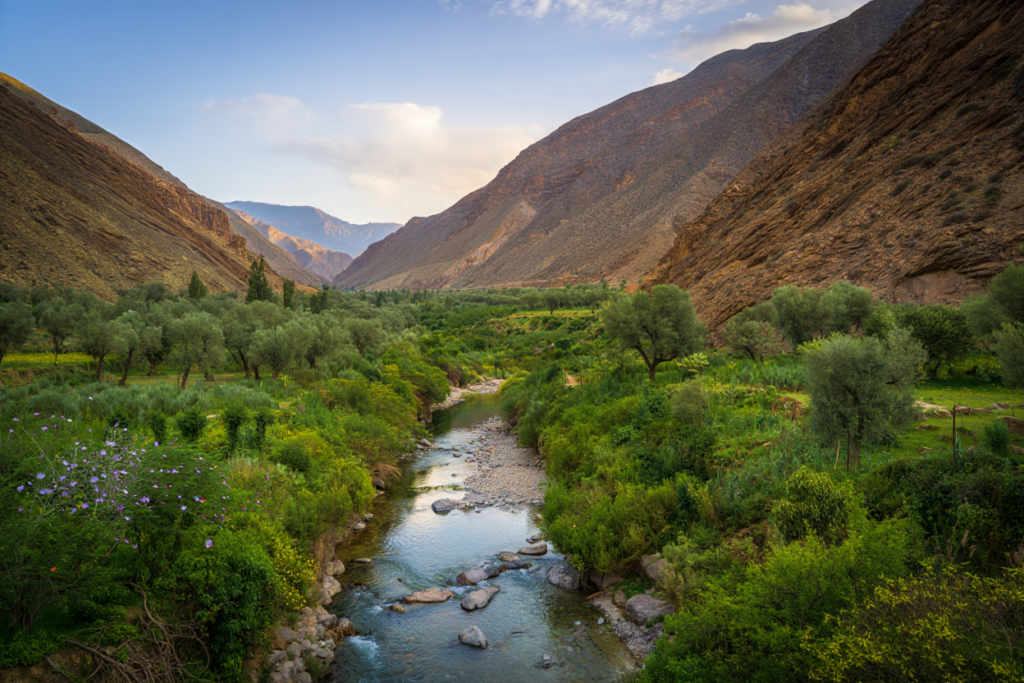 montagnes Atlas gastronomie marocaine
