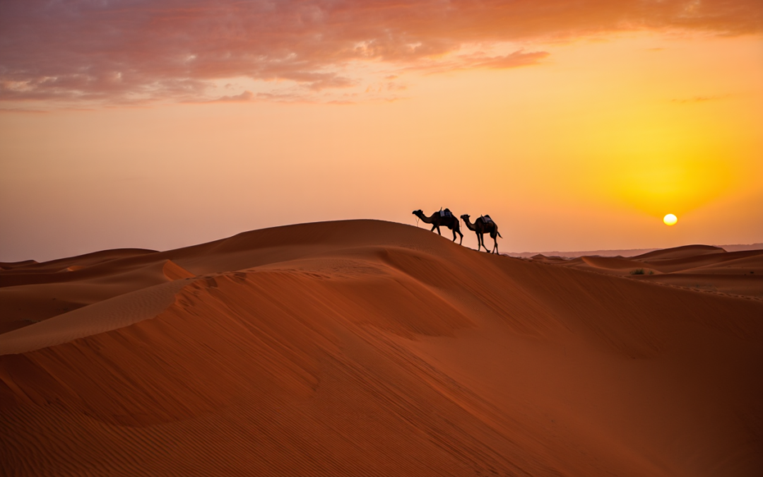 Désert de Merzouga : guide pour une expérience inoubliable