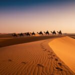 Désert de Merzouga Maroc – grandes dunes de sable doré du Sahara au lever du soleil, caravane de chameaux en silhouette, lumière et ombres spectaculaires, Erg Chebbi